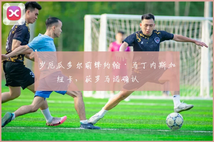 岁厄瓜多尔前锋约翰·马丁内斯加盟纽卡,获罗马诺确认