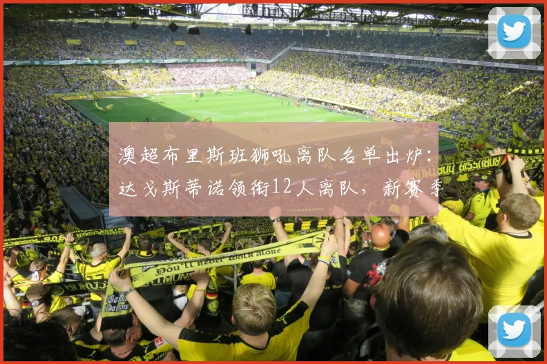 澳超布里斯班狮吼离队名单出炉:达戈斯蒂诺领衔12人离队,新赛季阵容展望